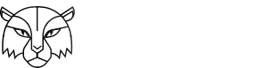 Project Indus