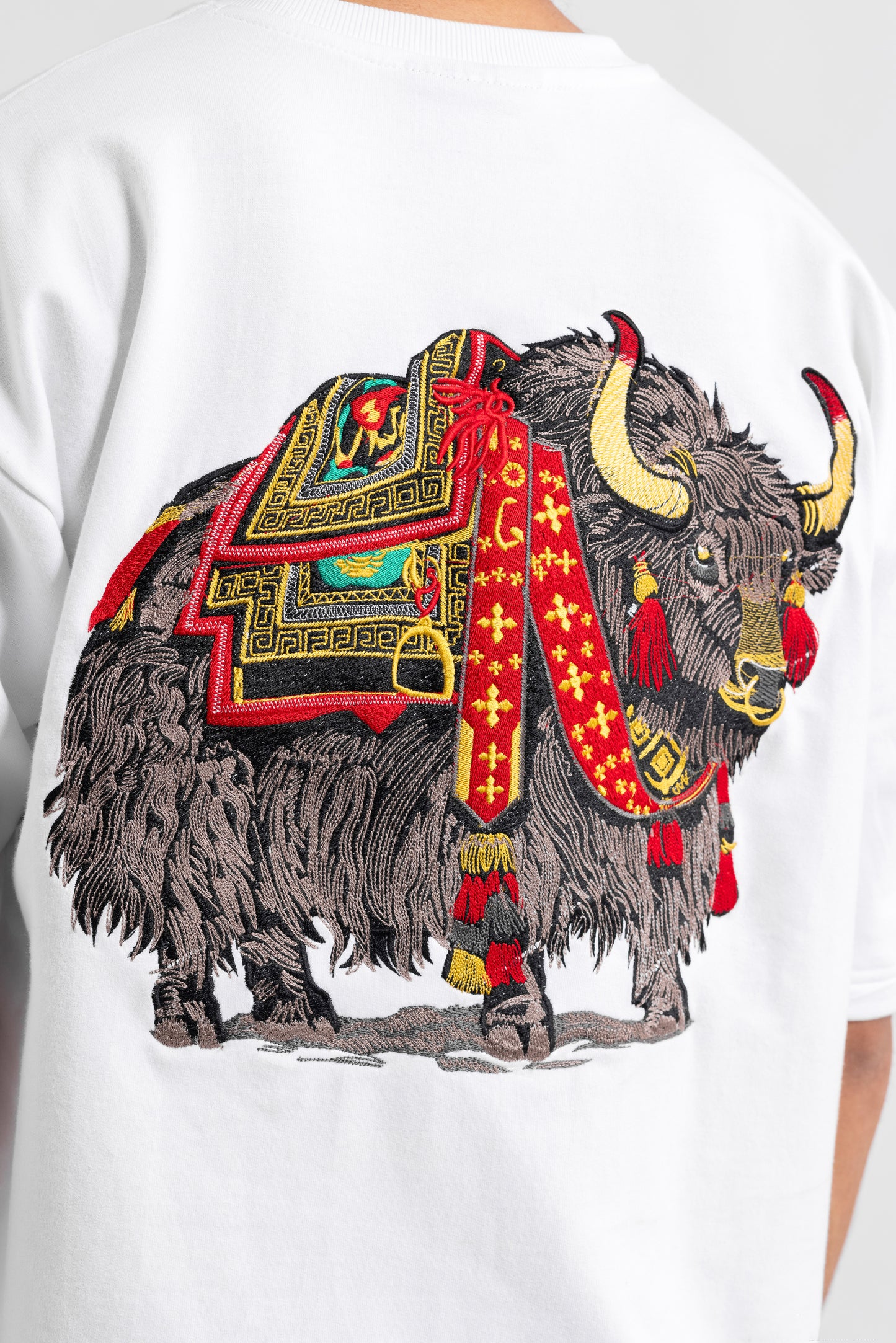 Yak from Kailash